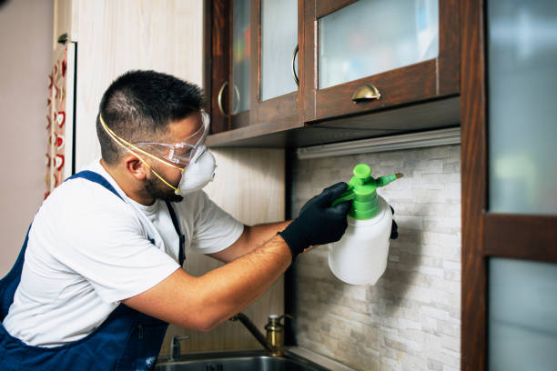 Redlands, CA Pest Control Company