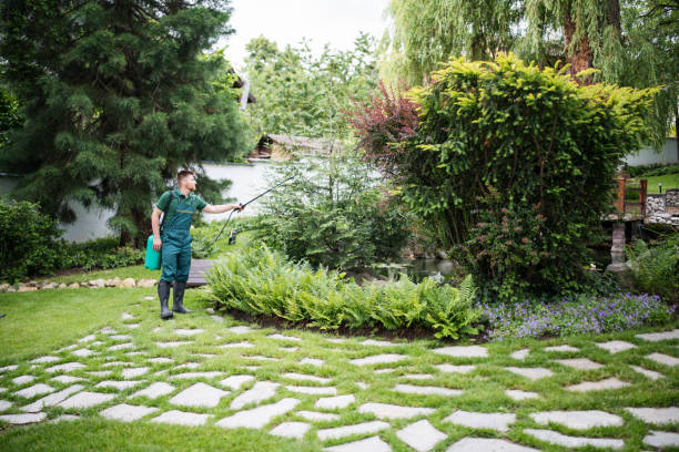 Best Affordable Pest Control Services  in Redlands, CA