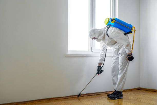 Best Pest Control Near Me  in Redlands, CA