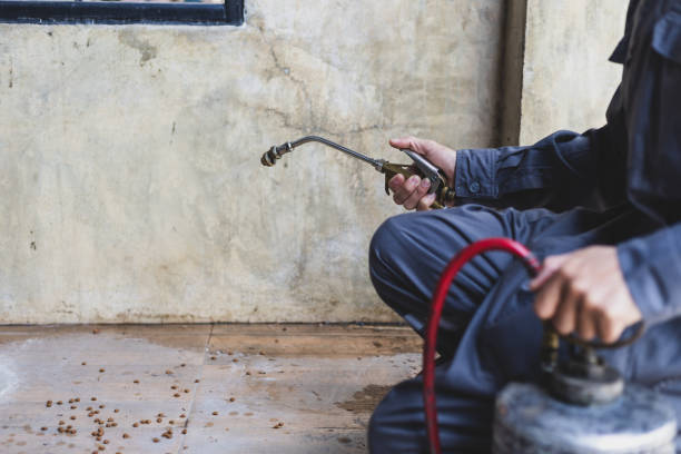 Best Exterminator Services  in Redlands, CA